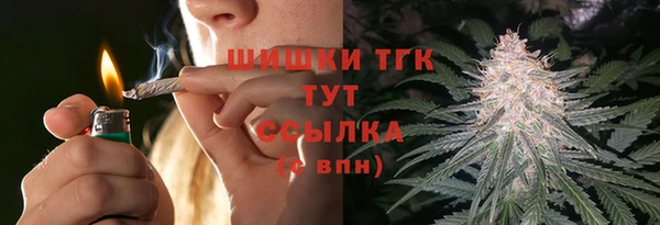 мдпв Зеленодольск