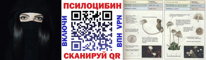 Купить закладки  Железноводск  Галлюциногенные грибы Magic Shrooms 